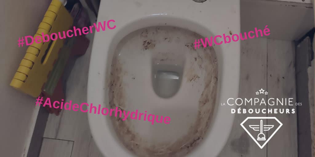 besoin d’un dégorgement wc urgent à 77130 ? intervention rapide, efficace et professionnelle pour déboucher vos toilettes 24h/24. devis gratuit et déplacement immédiat !