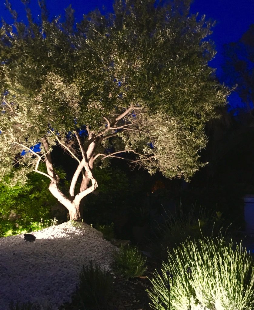 profitez d’un éclairage extérieur sur mesure à neuilly. solutions innovantes et installation professionnelle pour illuminer jardin, terrasse et allées. demandez votre devis gratuit !