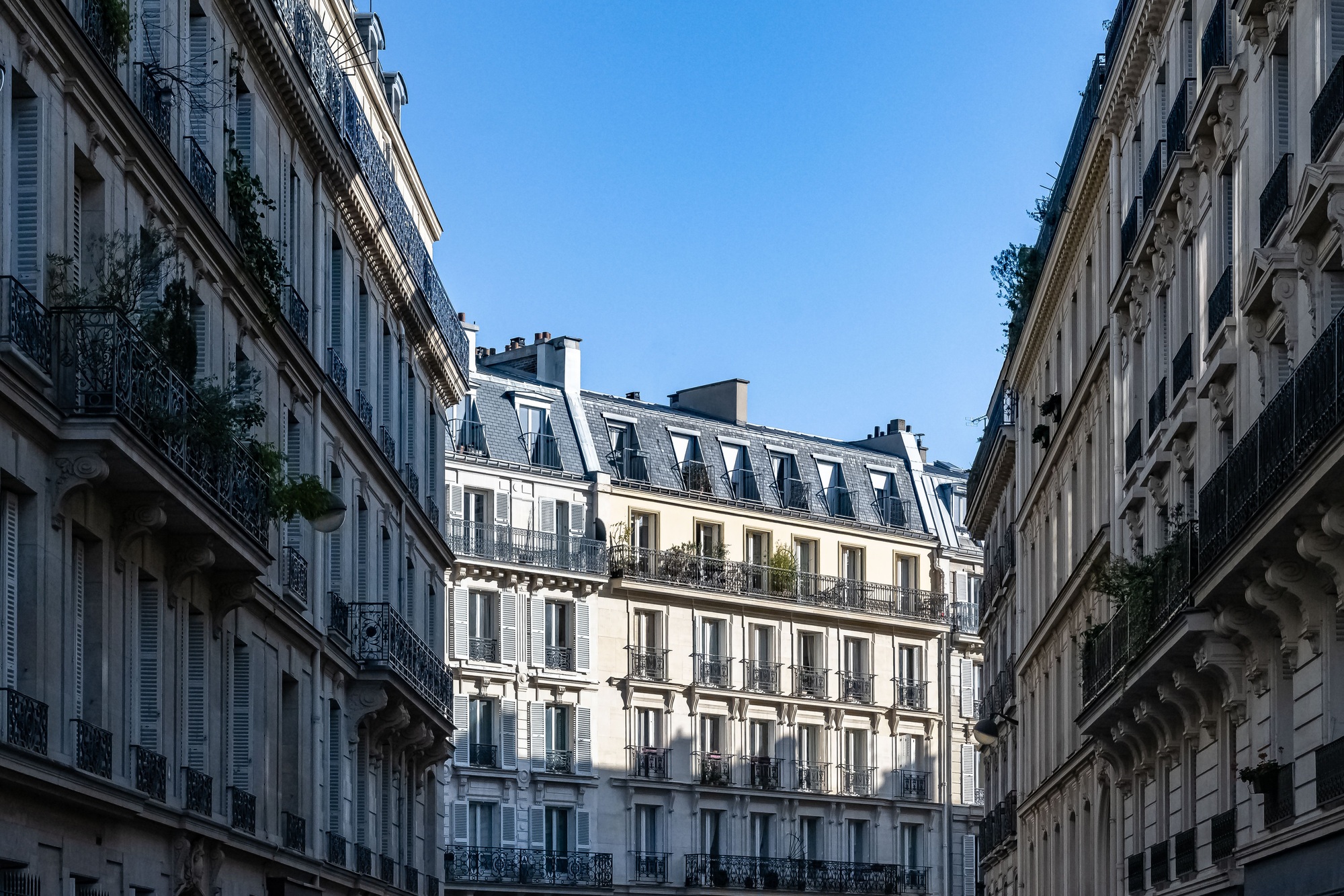 confiez la rénovation de votre appartement à paris en 2025 à des experts. bénéficiez de conseils personnalisés, d’un accompagnement complet et de résultats sur-mesure pour transformer votre espace de vie selon vos envies.
