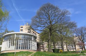 confiez vos travaux de rénovation à châtenay-malabry à des experts qualifiés. rénovation complète d’appartements et maisons : conseils, devis gratuit et réalisation sur mesure.